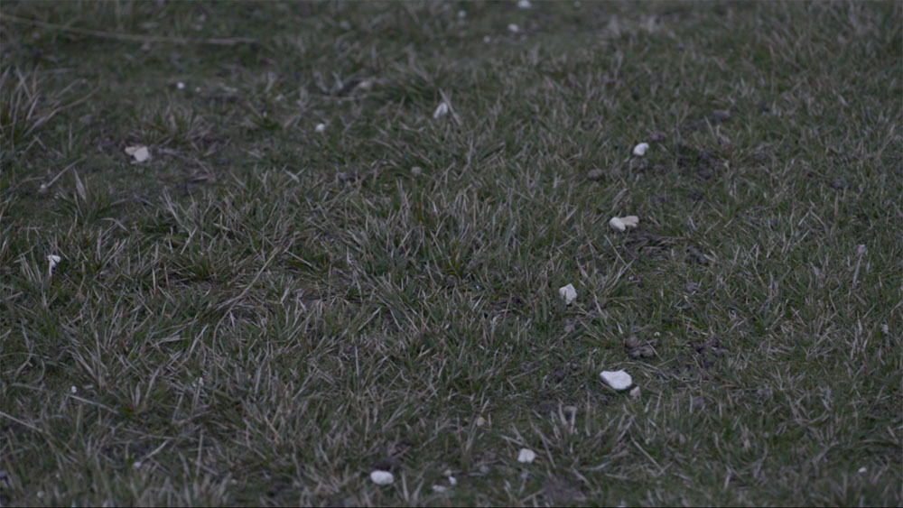 The Heaviness of the Weightlessness