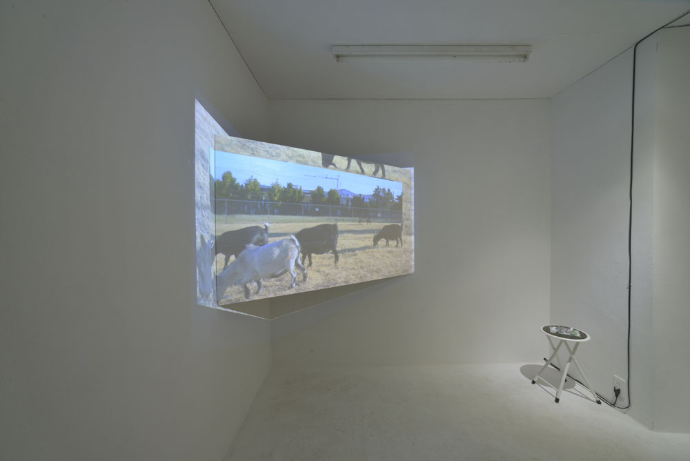 RHYTHMS FROM NEIGHBORHOOD