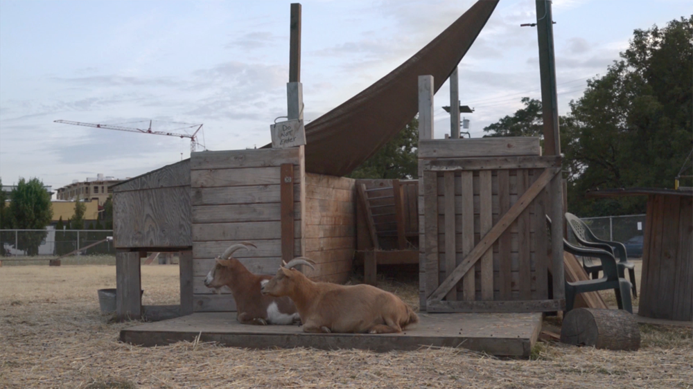 RHYTHMS FROM NEIGHBORHOOD