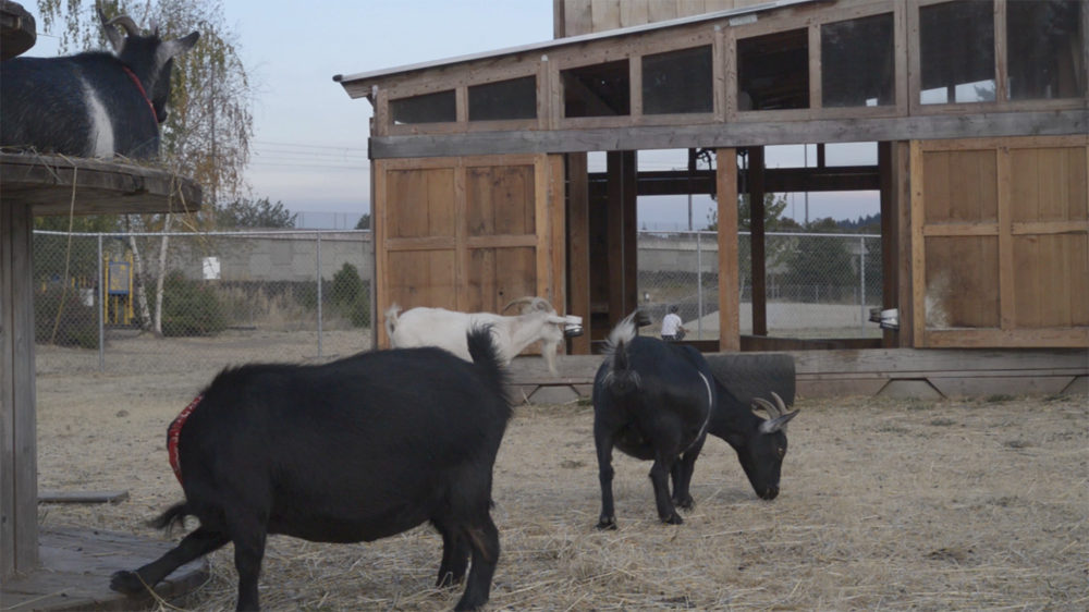 RHYTHMS FROM NEIGHBORHOOD