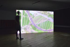 Birds'eye, Humans'hand, Insects'foot