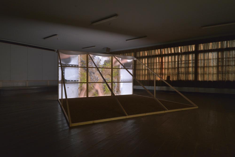 Birds'eyes, Humans'hands, Insects'feet