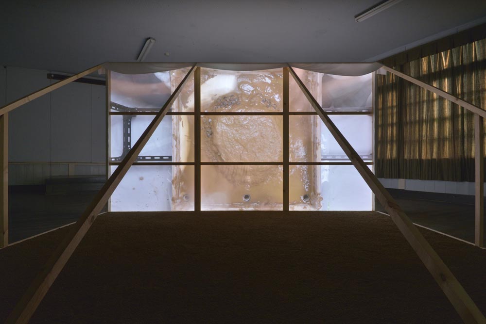 Birds'eyes, Humans'hands, Insects'feet