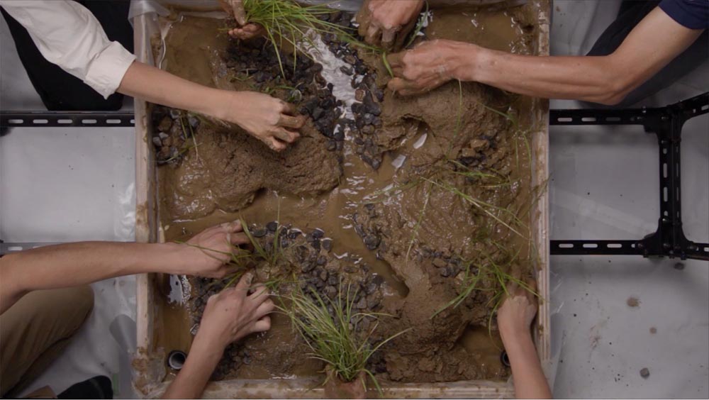 Birds'eyes, Humans'hands, Insects'feet