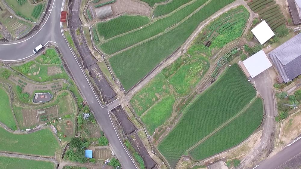 Birds'eyes, Humans'hands, Insects'feet