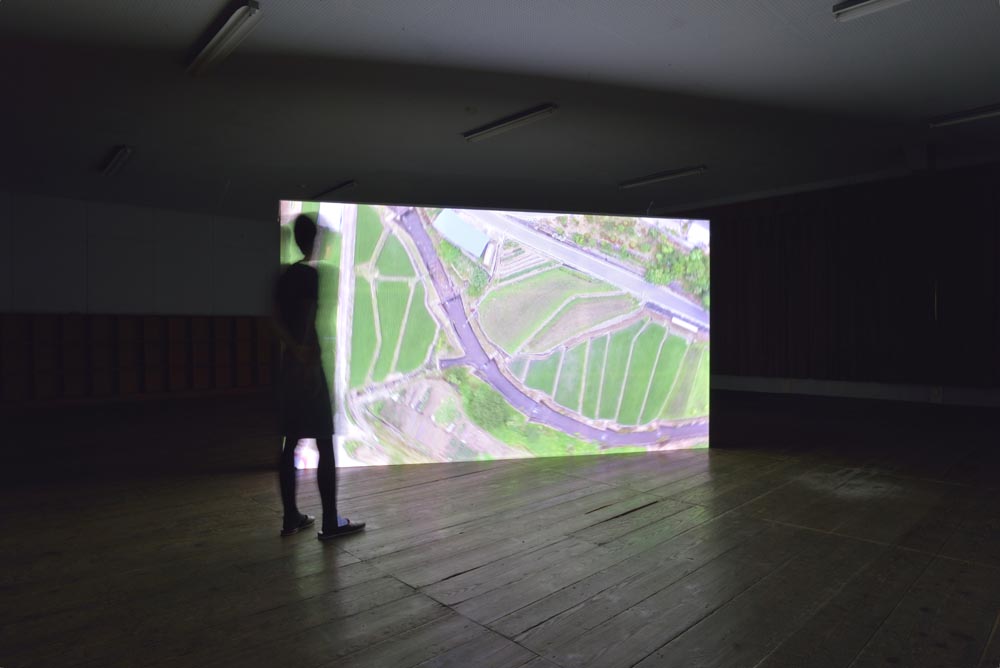 Birds'eyes, Humans'hands, Insects'feet